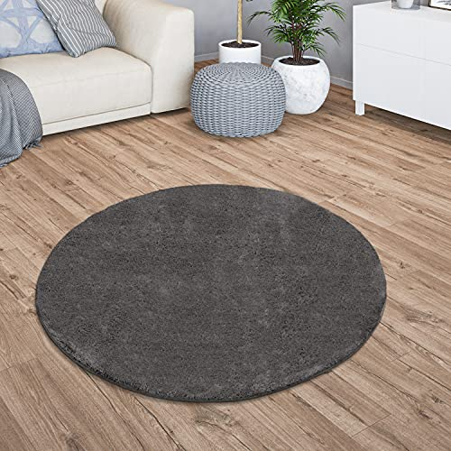 TT Home Wohnzimmer Teppich Kurzflor Anti-Rutsch Rückseite Unifarben Modern Waschbar, Farbe:Anthrazit, Größe:80 cm Rund