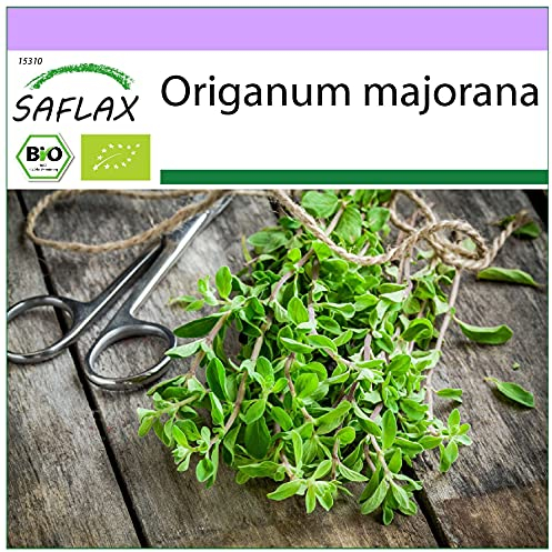 SAFLAX - BIO - Majoran - 700 Samen - Origanum majorana