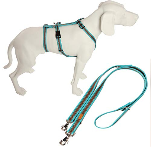 Feltmann No Exit ausbruchsicheres Hundegeschirr für Angsthund, Panikgeschirr, Soft Grip, türkis/braun, Bauchumfang 55-75 cm, 20 mm Bandbreite, inkl. passender Führleine 210 cm