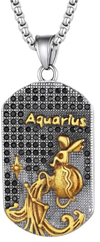 JewelryWe Sternzeichen Kette Herren Erkennungsmarke: Wassermann Edelstahl 12 Sternbilder Tierkreis Horoskop Dog Tag Hundemarke Anhänger mit Gravur Konstellation Halskette für Männer Gold Silber