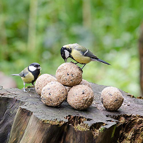 Fågelmat talgbollar med insekter 6-pack