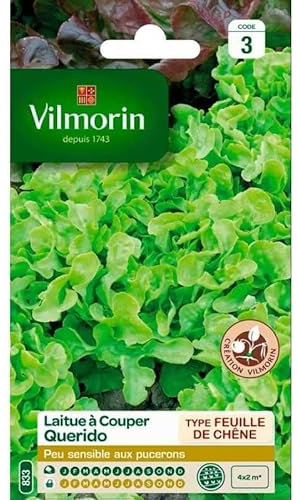 Vilmorin - Sachet de graines Laitue à couper QUERIDO