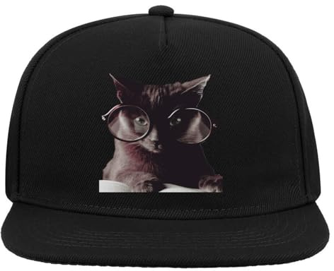 Cappello da baseball con visiera piatta snapback a 5 pannelli stile hipster per gatti, Nero , Taglia unica