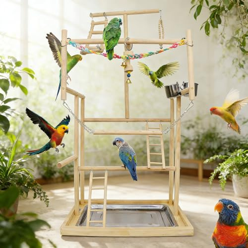 TOOSOAR Vogelspielplatz aus Holz,mit Edelstahl-Futterbechern,Bunte Kunststoffkette für Haustiere,für Papageien und andere Vögel