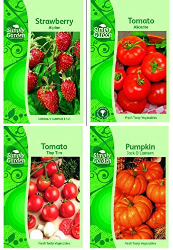 Fruit Seed Pack Collection 4 Varieties Pumpkin Strawberry Tomato Grow Your Own Fruit