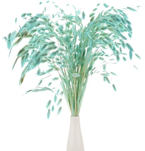 M METERXITY 20-Pz Mazzo Erba Essiccata 17 Chasmanthium Bouquet Fiori Secchi Erba Avena per Riempitore Vasi/Decorazione Casa Fiori Secchi Arrangiamento Reale Steli Verdi [Azzurro Chiaro]