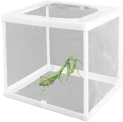 SMELEYOU 2 st bön Mantis livsmiljöer ber Mantis äggfodral inkubator för hem tarantlar spindlar sniglar syrsor och myror och andra små djur