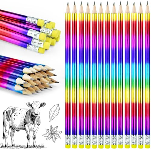 DECARETA 24 Piezas Lápices de Madera Lápices Hb Lápices con Borrador Lápiz de Escritura para el Hogar, la Escuela, la Oficina, Longitud 18,7 cm, Colores Creativos del Arco Iris