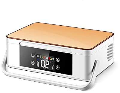 Frigoríficos Caja refrigerada con enfriador de insulina portátil y mini enfriador de insulina, para automóvil, viaje, refrigerador para medicamentos en el hogar, refrigerador de temperatura const