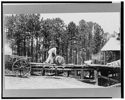 HistoricalFindings Photo: Turpentine,Georgia,GA,Farm Security Administration,Dorothea Lange,1937,FSA,1