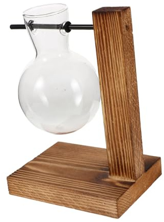 Angoily Vase Verre pour Fleurs Et Plantes Vase Hydroponique Verre avec Support Bois Terrarium pour Plantes Intérieur