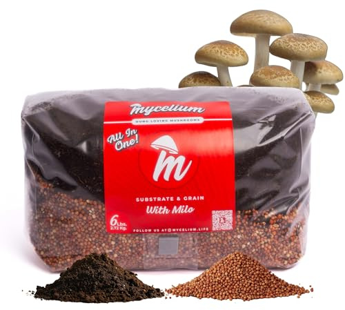 Mycelium 's Superior Dung-Loving - Sustrato de hongos y mezcla de granos de milo, 6 libras todo en uno, fórmula de coco de primera calidad, vermiculita y yeso, preesterilizada y lista para un fácil