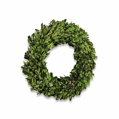 Loberon Kranz Myrcella, konserviert & Lange haltbar, Haken auf der Rückseite, Dekoration, Türkranz, Buchsbaum, Kunststoff, Rattan, grün