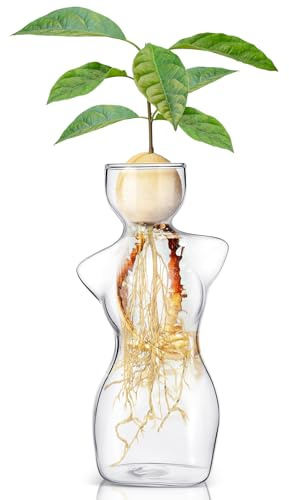 Avocado Propagation Vases for Plants Glass Flower Elegant Female Silhouette Avocado Growing Arrangements Art Vases for Seed Starting Water Rooting Home Decor Bulbs Plant Cuttings