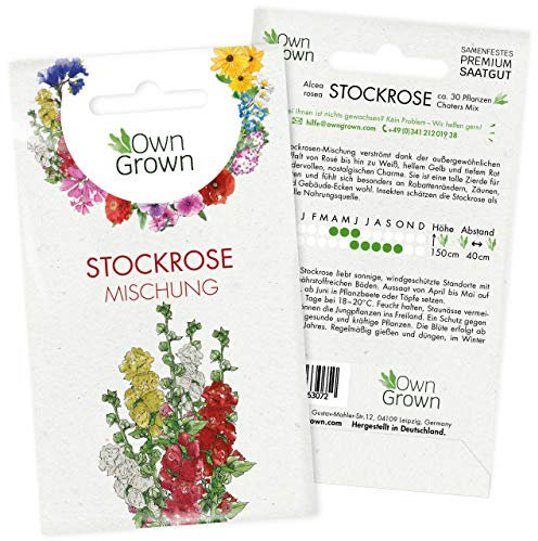 Stockrosen Samen winterhart: Premium Bauerngarten Samen Mischung für 30 bunte Stockrosen Pflanzen mehrjährig – Stockrosen Winterhart – Saatgut Blumen – Stockrosen Pflanzen winterhart Samen v. OwnGrown