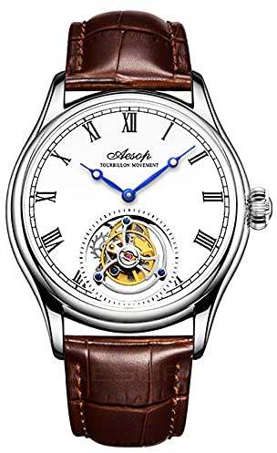 AESOP Men Mechanical Tourbillon Watches Hand Wind Sapphire Stainless Steel Skeleton Wrist Watches 50M Waterproof Luxury Business Watch with Genuine Leather Strap（Silver and Brown