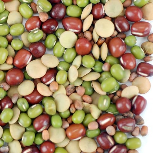 Handy Pantry Organic Bean Salad Sprouting Seeds 8 Oz ~8,000 Seed Non-GMO