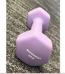 SONGMICS Set of 2 Dumbbells, 2 x 2 kg Hand Weights with Neoprene Coating, Hexagonal Dumbbells Pair, Home Workout, Fitness Training Exercise, Ash Purple SYL904PZ02