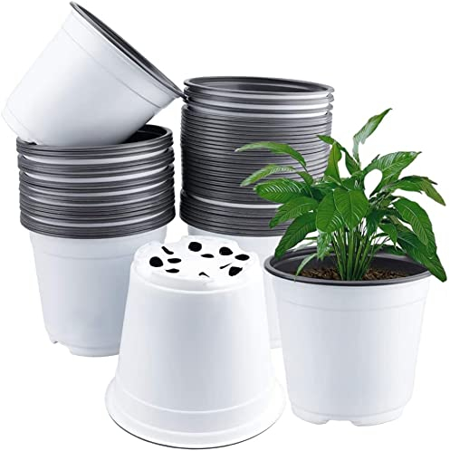 LATERN 50 Pièces 15cm Pots de Fleurs en Plastique, Blanche Poids Léger Pots de Départ de Graines Pots de Semis de Pépinière Récipient pour Plantes à Fleurs (15 x 13cm)