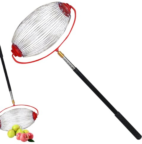 Générique Collecteur De Noix Télescopique, Collecteur De Fruits À Coque pour Jardin, Outil Manuel Polyvalent avec Manche Ergonomique pour Ramasser Les Glands, Les Cônes De Pin Et Jujubes