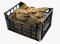 Cassetta corteccia sughero 100% naturale, made in Italy per Presepe fai da te, Bricolage (1 Kg)