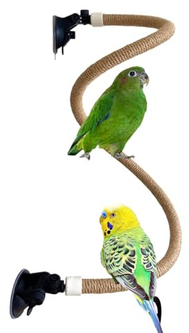 Jouet pour perche debout pour oiseau, perche, corde flexible, fournitures de divertissement, accessoires pour oiseaux de petite et moyenne taille