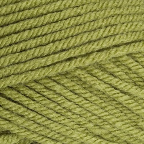 Stylecraft 9061065 Special Chunky Meadow (1065) Yarn - 100g