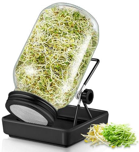 ecooe Sprossen Keimglas Juego de 1 tarros de germinación negros para brotes de cristal con 1 cuenco de agua, 1 cubierta de rejilla de filtro de acero inoxidable 304 y 1 soporte