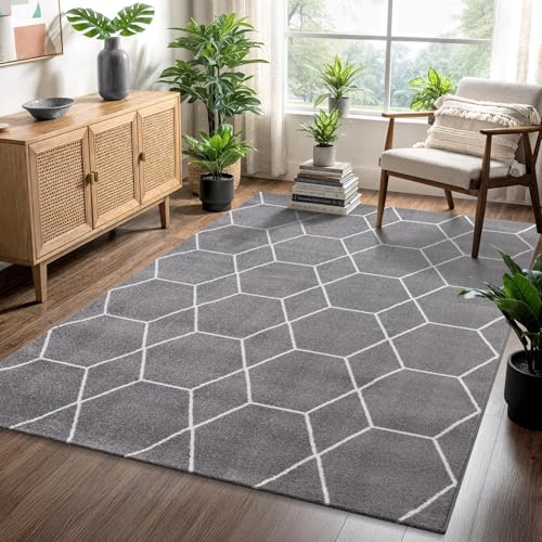 SANAT Wohnzimmerteppich – Pflegeleicht, für jeden Raum geeignet – Öko-Tex zertifizierter Flächenteppich – Trellis Muster, Grau, 160 x 230 cm