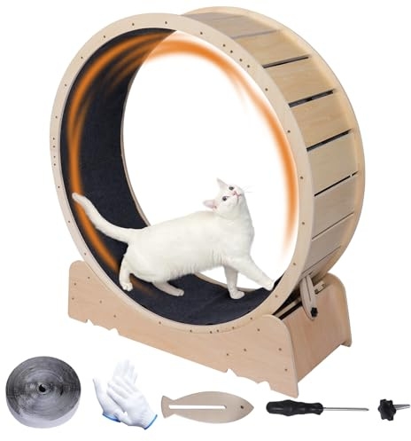 Rueda de ejercicio grande para gatos de 40 pulgadas, ejercitadora para gatos de interior, juguete para correr, caminar, entrenamiento para fitness, pérdida de peso, adecuado para la mayoría de los