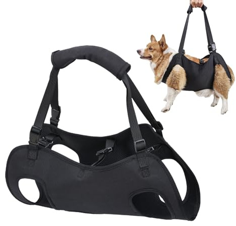 Aiuto per il trasporto dei cani – Deambulatore regolabile, imbracatura sollevamento zampe posteriori, supporto sicurezza cani brand (L)