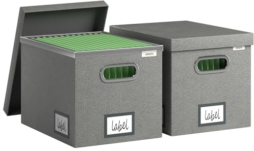 GRSQYS File Organizer Box - File Boxes for Hanging Files with Lid Set of 2 Decorative Hanging Folders Letter Size Organizer with One-Piece Plastic Frame Slides (Grey, 13.2 * 10.1 * 10.1in(2Pack))