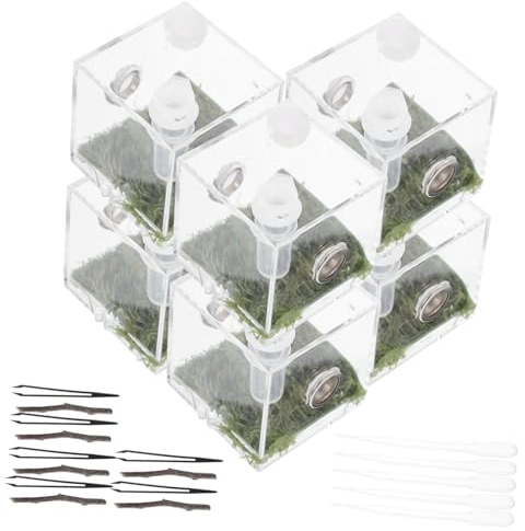 ifundom 2ensembles Boîte Habitat pour Araignées Sauteuses Acrylique Enclos Transparent pour Reptiles pour Nourrir Insectes Et Élever Petits Animaux