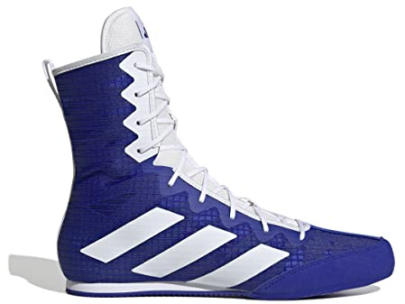 adidas Chaussures de Trekking Performance pour Homme, Bleu, 48 EU