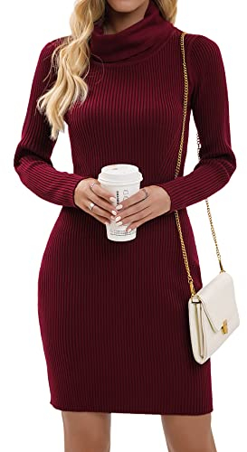 Imuedaen Strickkleid Damen Rollkragen Elegant Langarm Tunika Pullikleid Lang Strickpullover Minikleid Pullover für Herbst Winter (A Burgund, XS)