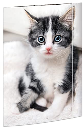 RNKVERLAG 45331 - Zeichenmappe Katze 310 x 440 mm in DIN A3 mit Gummizugverschluss, 1 Stück