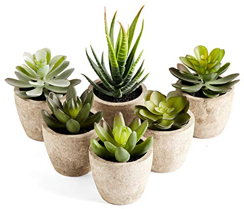 PRIMAISON Artificial Succulents Plants Potted Set-Decorative Fake Succulent Plant Faux Plastic Plant Indoor &Outdoor for House Office Desk Bathroom Kitchen DIY Decor Gift Set of 6