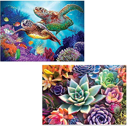 OFRKE 2-Piece Diamond Painting Kits for Adults，Colorful Sea Turtle and Succulent Plant Painting Colorful Artwork for Beginner Perfect for Home Wall Deco Diamond Decor 12x16