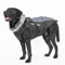 Vivi Bear Hundemantel Grosse Hunde, Hundemantel Wasserdicht，Integriertes Geschirr-Design Hund Jacke，Weichem Fleece-Nackenschutz, Geeignet FüR Mittlere Bis GroßE Hunde Im Freien