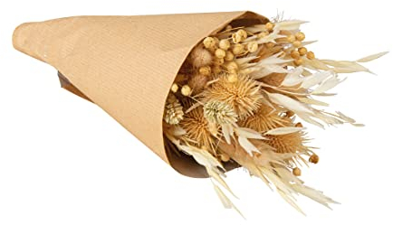 Rayher Bouquet de fleurs séchées naturelles prêt à offrir, ivoire, 1 bouquet, 28cm, emballage papier Craft, arts créatifs, art floral, décoration, scrapbooking-85490505