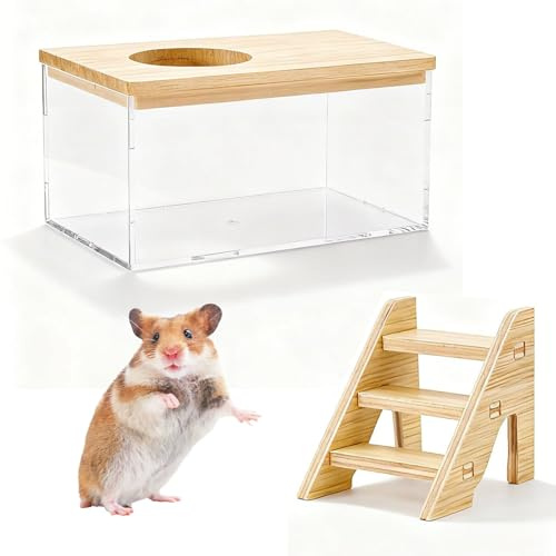 Copbopwn Hamster Sand Bath With Ladder Transparent Small Animal Bathing Box Gerbil Sands Baths Toilet Digging Pit For Syrian Hamsters Cage Dwarf Chinchilla Sand Hamster Accessories