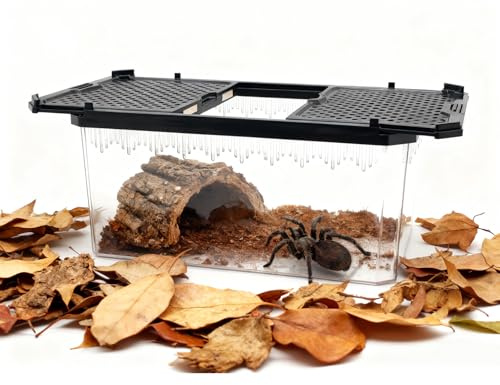 Reptile Terrarium,Tarantula Enclosure,Spider Tank Starter Kit,Leopard Gecko Container,Hermit Crab Habitat,Lizard Enclosure,Insect Housing,Jumping Spider Cage,Small Bearded Dragon Vivarium