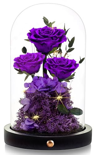DENIMOMO Mothers Day Roses Gifts for Mom,Forever Purple Preserved Rose in Glass Dome,Mothers Day Real Flowers Roses Gifts for Wife Women Mom Grandma/Purple