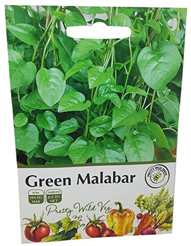 Green Malabar Seeds Vegetable Fruit Seeds Veg Seeds Cabbage Carrot Sweetcorn Tomato Strawberry (Green Malabar)