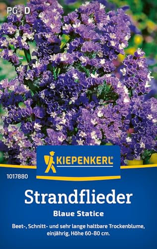Kiepenkerl Strandfliedersamen Blaue Statice 1017880 - Einjährige Blumensamen mit einer Wuchshöhe von 60 bis 80cm und Inhalt für 60 Pflanzen - Saatgut