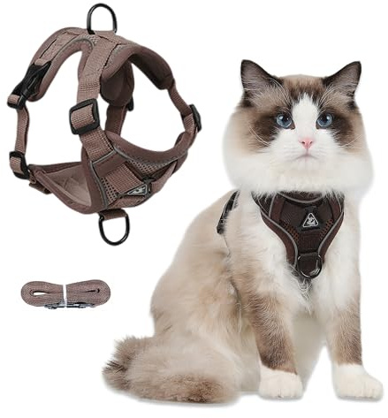 FurrPhunny Ensemble harnais et laisse pour chat - Anti-fugue - Réglable et souple - Avec bande réfléchissante - Gilet confortable pour animaux de compagnie, chaton, chiot et lapin - Marron - Taille M