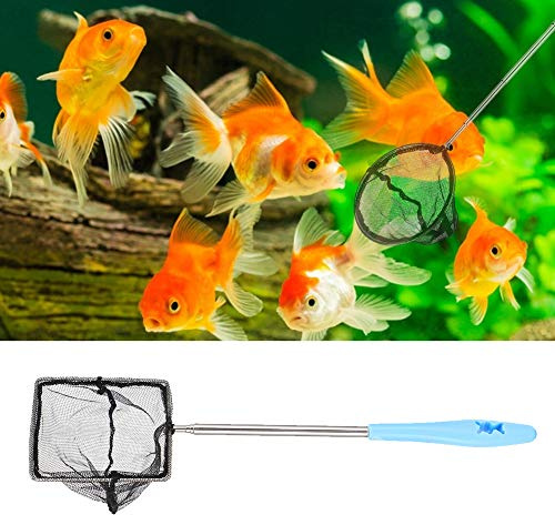 Tnfeeon Red para Peces de Acuario, Red de Malla Fina Telescópica de Acero Inoxidable para Pecera de Camarones Betta, Antideslizante Fácil de Atrapar, Ideal para Acuarios Profundos (Cuadrado)
