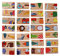 28 Stücke Gebäude Domino Blöcke Set Tier Farbige Holzpuzzle Frühe Pädagogische Spielzeug für Kinder