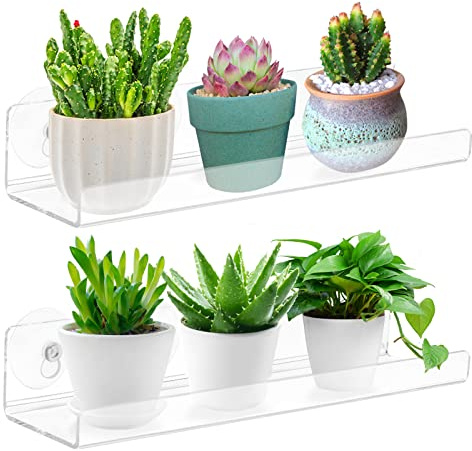 Skewo Lot de 2 étagères de fenêtre de 30,5 cm – Extension de seuil à Ventouse en Acrylique pour Plantes Grasses, Pots d'herbes, Micro-Verts, Organisateur de Salle de Bain, présentoir et Rangement de