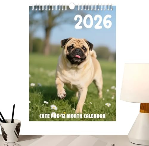 Calendario de Pared 2026 | Planificador Mensual Para Decoración,Calendario y Planificador Anual para Pared,Para Uso En Familia, Profesor, Interior, Escuela, Aula, Oficinas, Hogar, Vacaciones